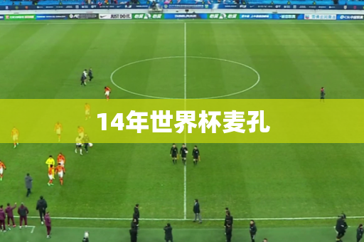 14年世界杯麦孔 14年世界杯麦孔