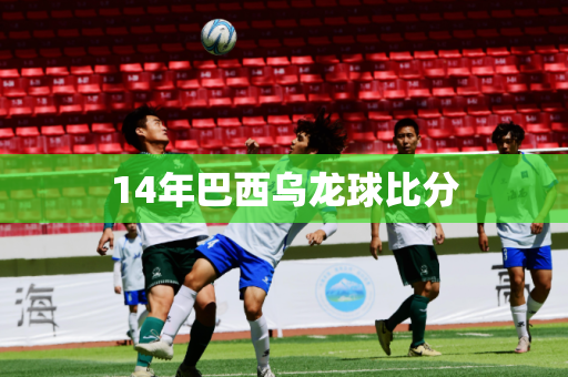 14年巴西乌龙球比分 14年巴西乌龙球比分