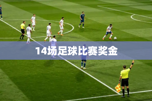 14场足球比赛奖金