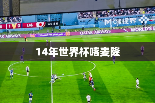 14年世界杯喀麦隆 14年世界杯喀麦隆