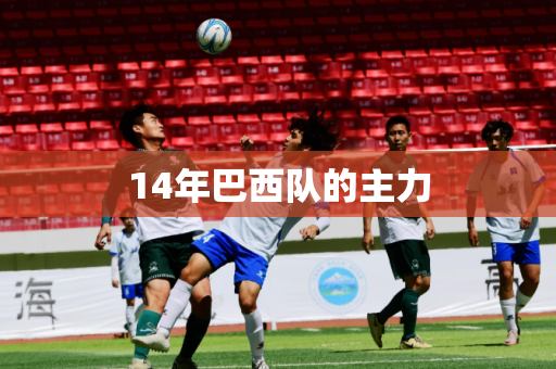 14年巴西队的主力 14年巴西队的主力