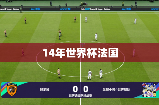 14年世界杯法国