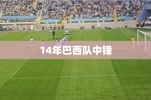 14年巴西队中锋 14年巴西队中锋