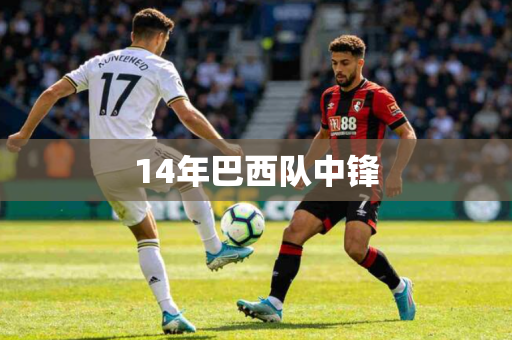 14年巴西队中锋