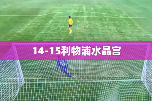 14-15利物浦水晶宫 14-15利物浦水晶宫