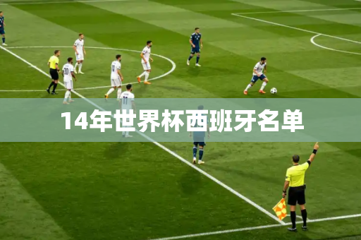 14年世界杯西班牙名单 14年世界杯西班牙名单