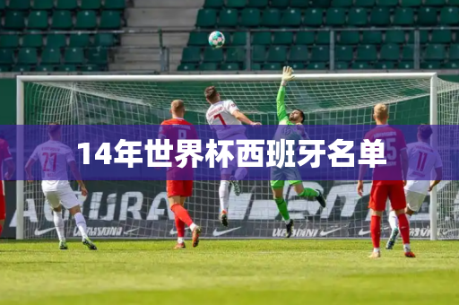 14年世界杯西班牙名单 14年世界杯西班牙名单