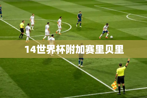 14世界杯附加赛里贝里