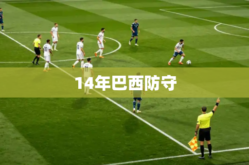 14年巴西防守 14年巴西防守