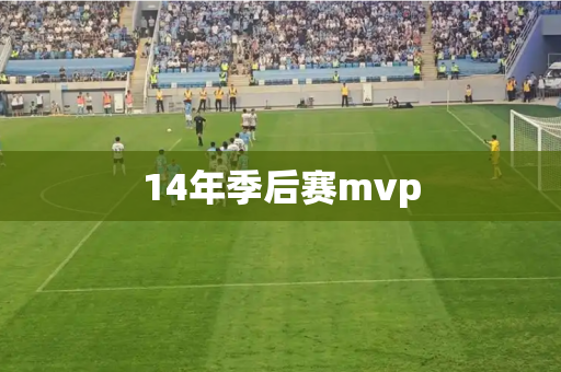 14年季后赛mvp