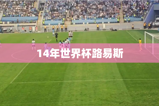 14年世界杯路易斯