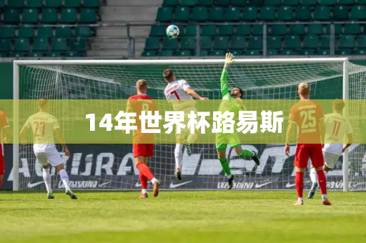 14年世界杯路易斯