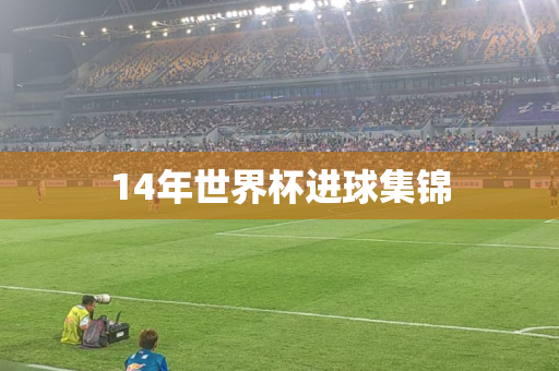 14年世界杯进球集锦