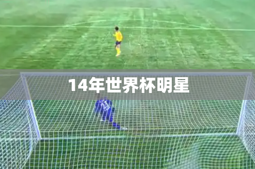 14年世界杯明星