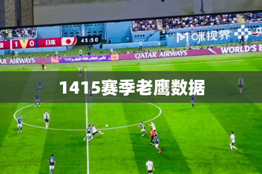 1415赛季老鹰数据