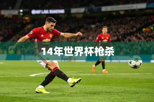 14年世界杯枪杀