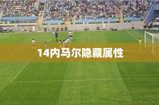 14内马尔隐藏属性