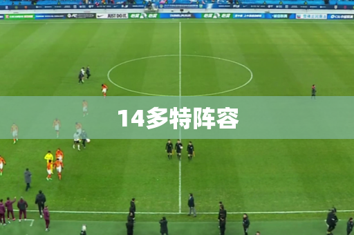 14多特阵容