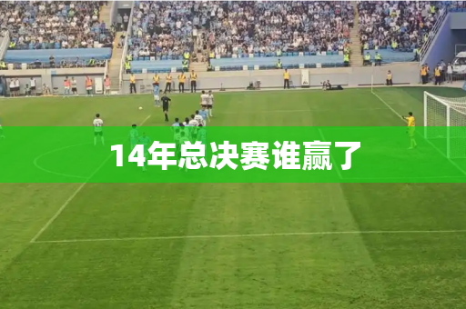 14年总决赛谁赢了 14年总决赛谁赢了