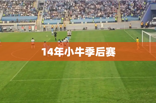 14年小牛季后赛 14年小牛季后赛