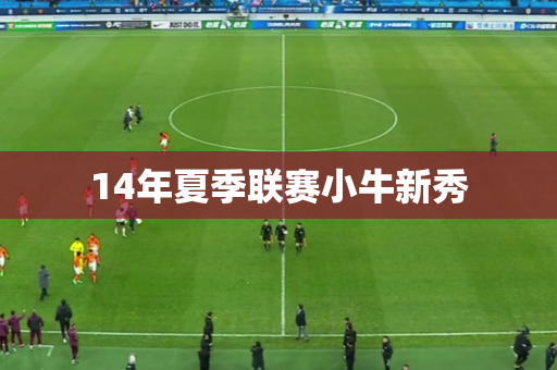 14年夏季联赛小牛新秀