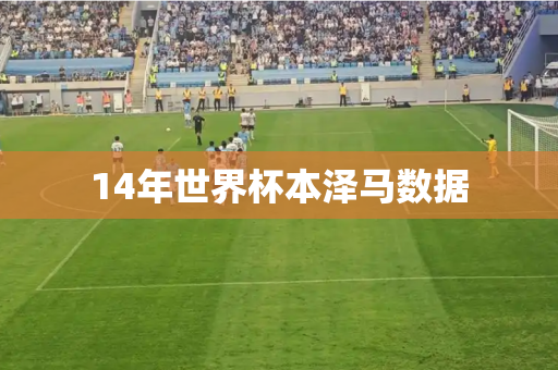 14年世界杯本泽马数据 14年世界杯本泽马数据