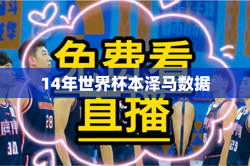 14年世界杯本泽马数据