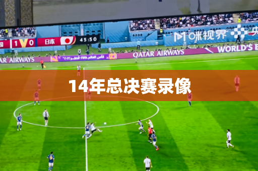 14年总决赛录像