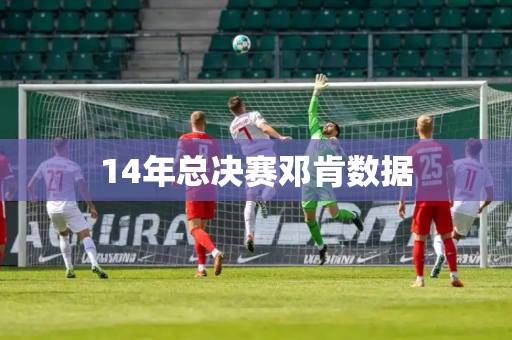 14年总决赛邓肯数据