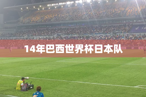14年巴西世界杯日本队 14年巴西世界杯日本队