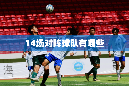 14场对阵球队有哪些
