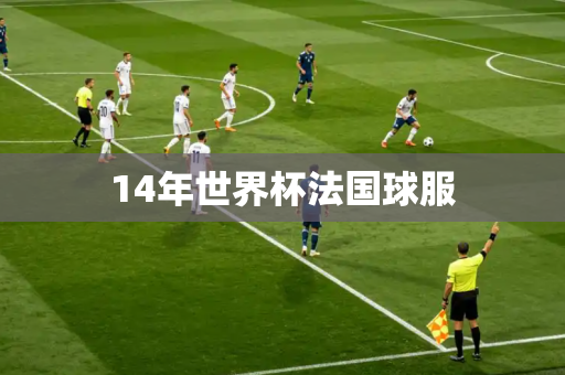 14年世界杯法国球服