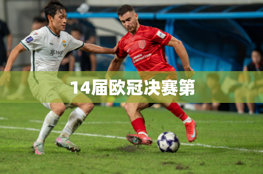 14届欧冠决赛第
