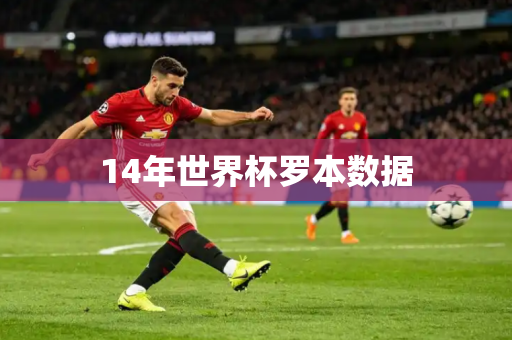 14年世界杯罗本数据