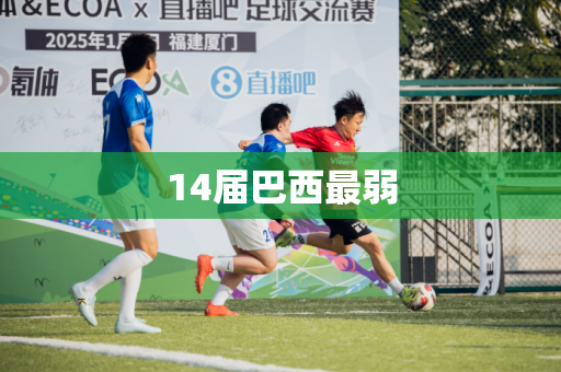 14届巴西最弱
