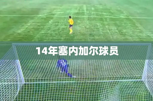 14年塞内加尔球员