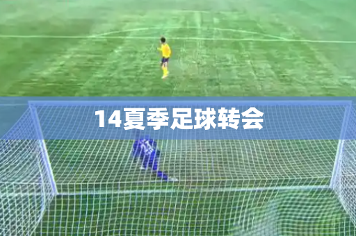 14夏季足球转会