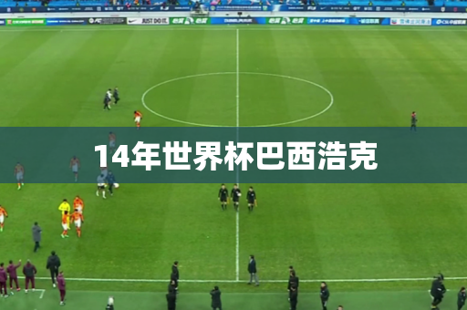 14年世界杯巴西浩克 14年世界杯巴西浩克