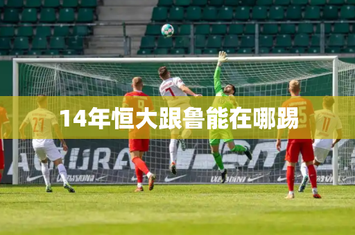 14年恒大跟鲁能在哪踢