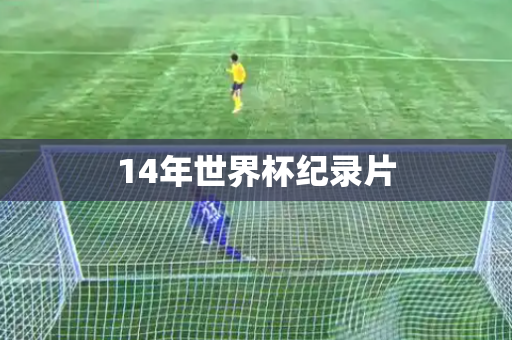 14年世界杯纪录片 14年世界杯纪录片
