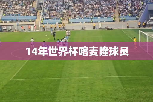 14年世界杯喀麦隆球员 14年世界杯喀麦隆球员