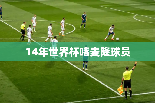 14年世界杯喀麦隆球员