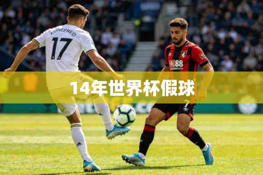 14年世界杯假球