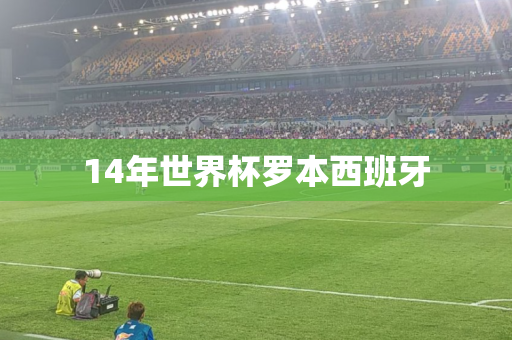 14年世界杯罗本西班牙