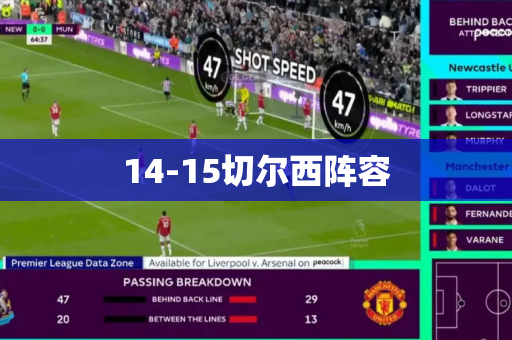 14-15切尔西阵容