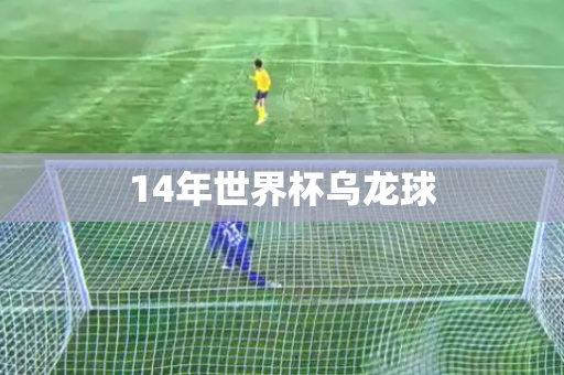 14年世界杯乌龙球