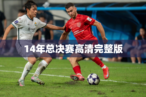 14年总决赛高清完整版