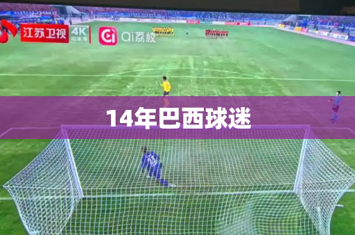 14年巴西球迷 14年巴西球迷