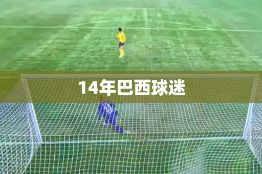 14年巴西球迷 14年巴西球迷