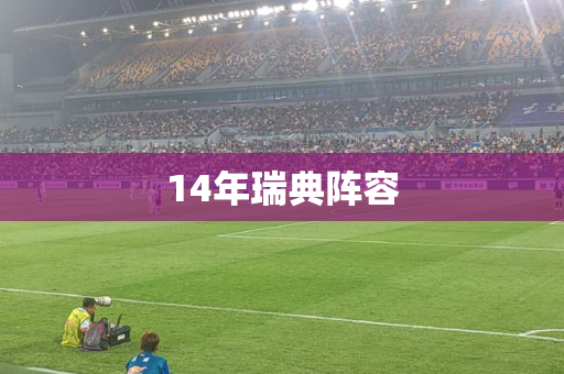 14年瑞典阵容